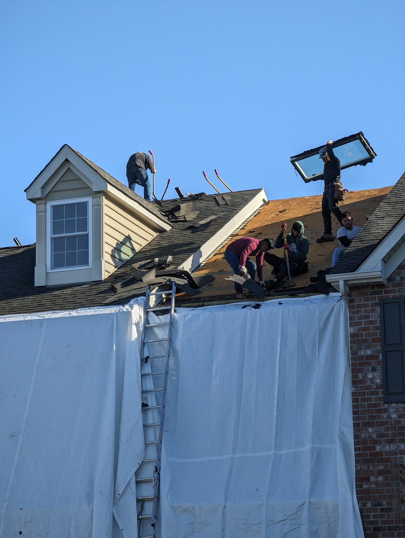 PXL 20240530 120319638